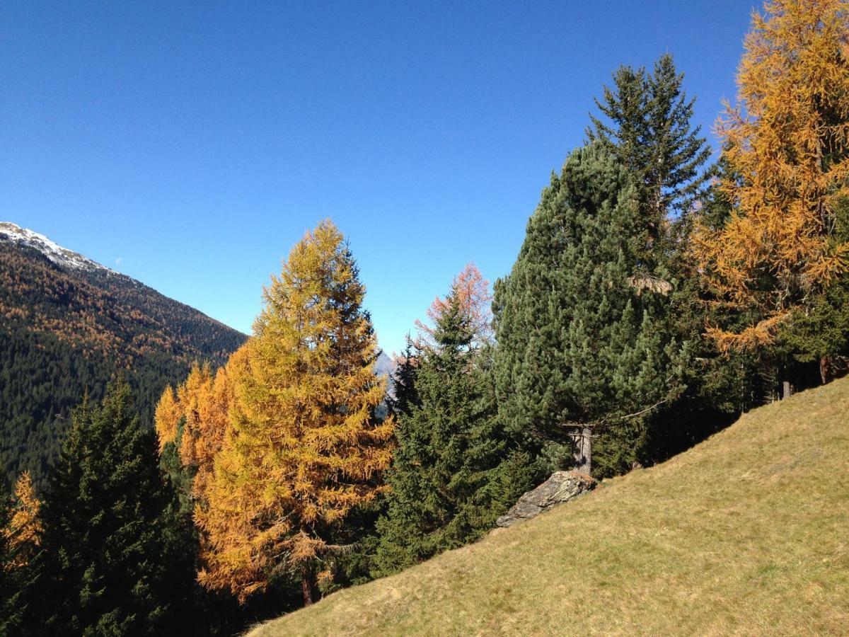 Chalet Del Bosco ヴァルディソット エクステリア 写真