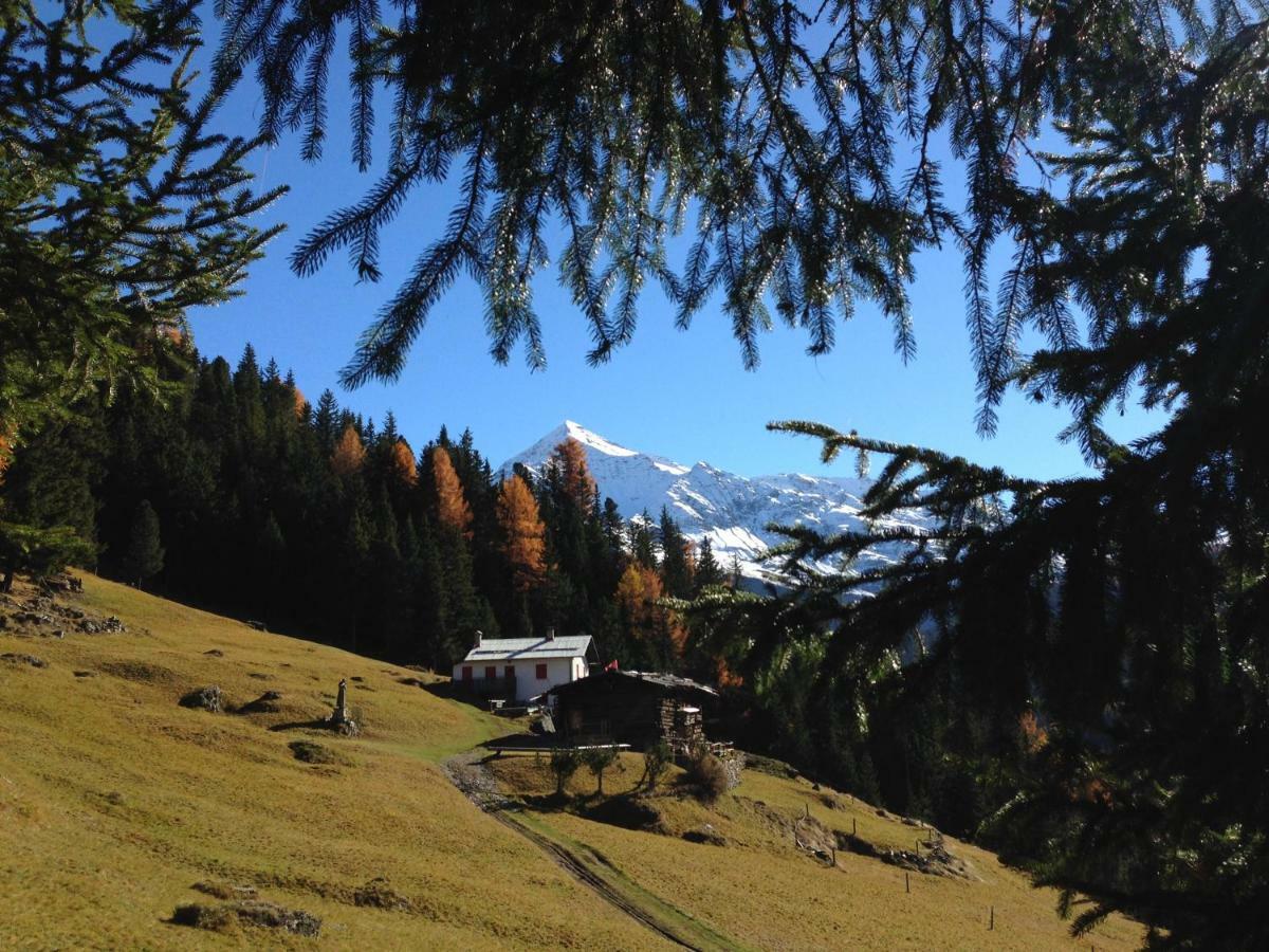 Chalet Del Bosco ヴァルディソット エクステリア 写真
